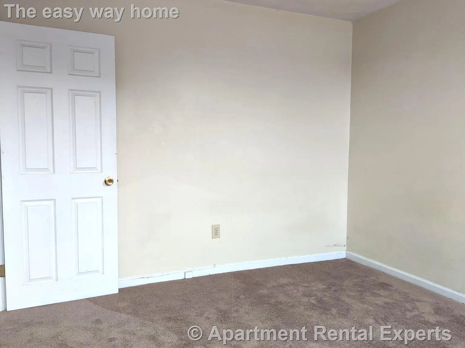 2 bed, 800 sqft, $3,000 — Photo 3