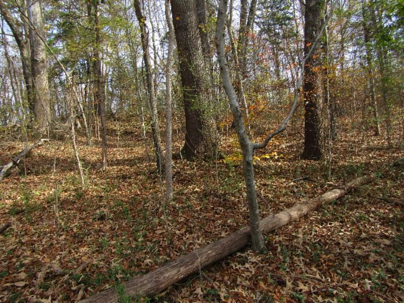 1st image of LOT 10 River Oaks Dr