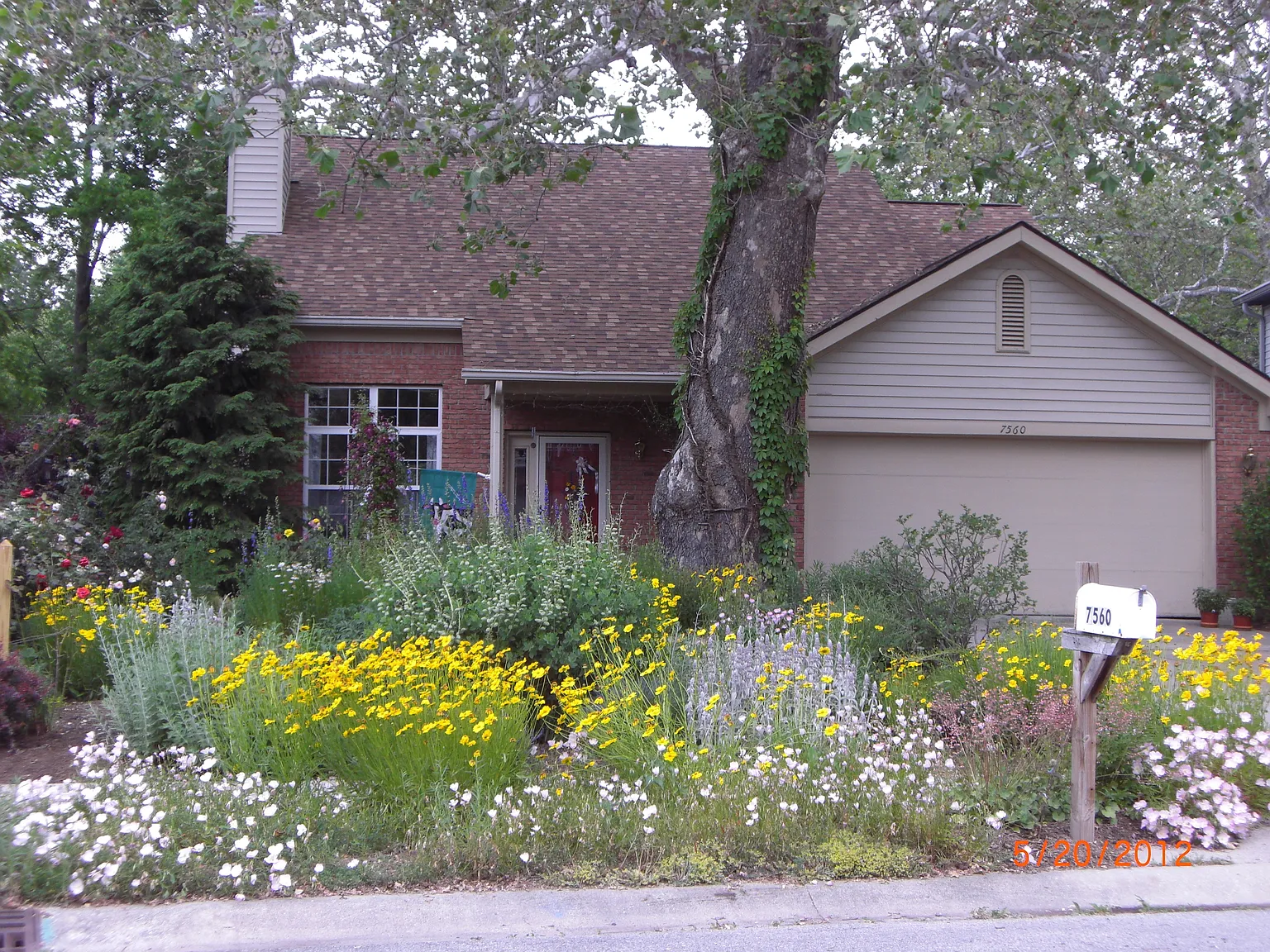 7560 Sycamore Grove Ct photo 1