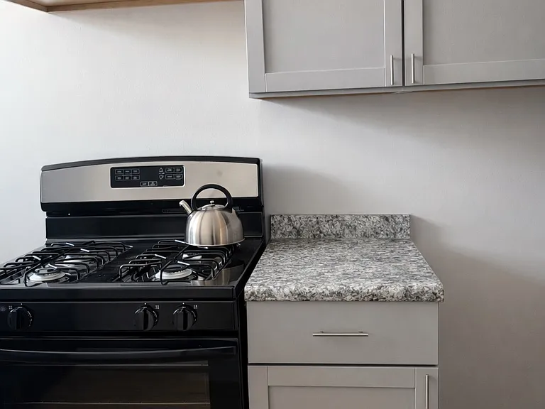 4258 W Hirsch St #3 — Photo 5