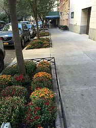 Rented by R New York