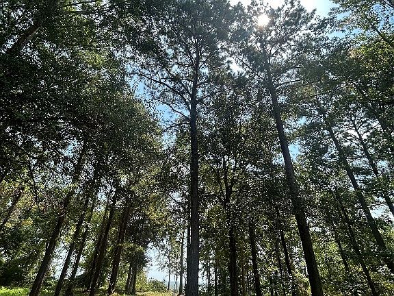 4th image of 3 Prairie Blf