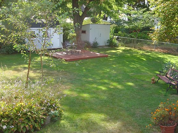 back yard