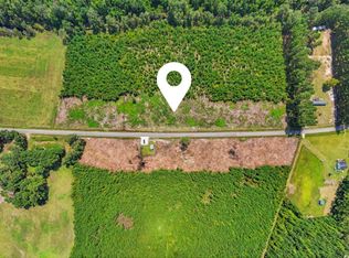 LOT 5 Black Creek Rd, Nichols, SC 29581