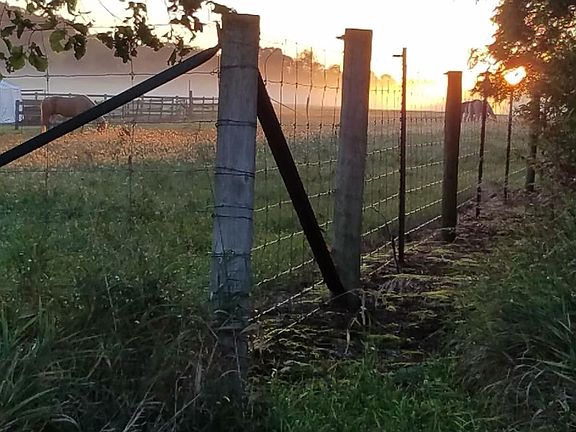 5th image of 12421 Olson Rd