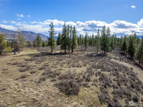 40 TBD Rabbit House Road, Winthrop, WA 98862