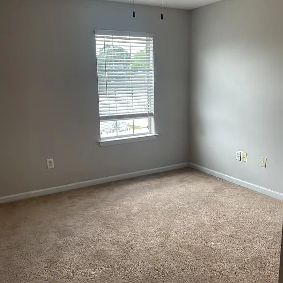 347 Thistle Ln — Photo 21