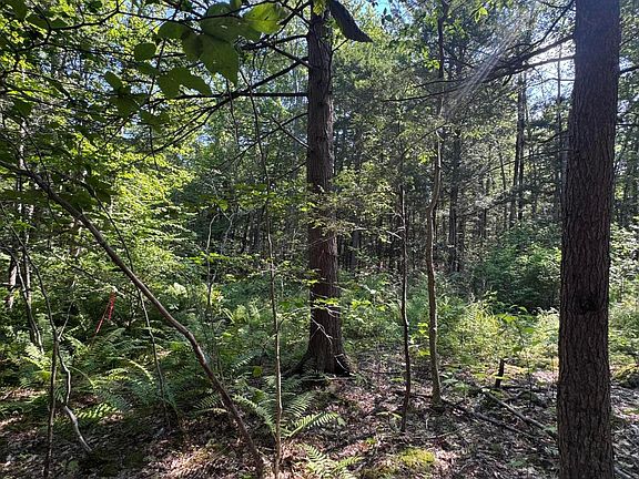2nd image of L24 Poplar Ridge Drive