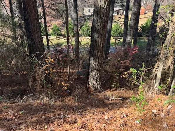 1141 Old Murphy Rd, Murphy, NC 28906