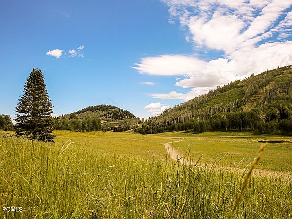 3rd image of 304 White Pine Canyon Rd Lot 304