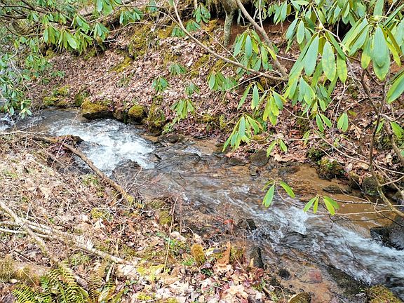 3rd image of 0 Tilley Creek Rd