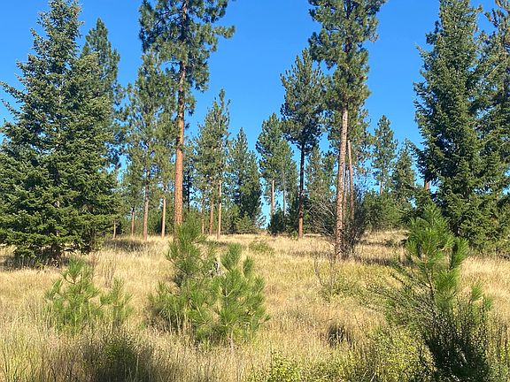 3rd image of 40 Bighorn Bluff Loop