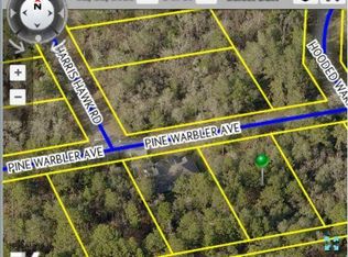 12126 Pine Warbler Ave, Brooksville, FL 34614