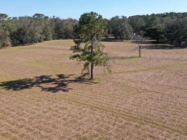 0 160th Ter, Mc Alpin, FL 32062