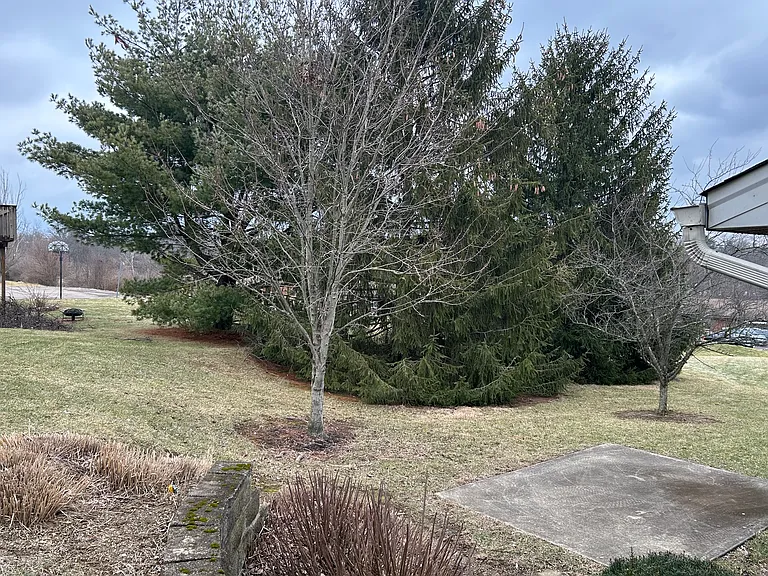 792 Harvard Dr #A — Photo 5