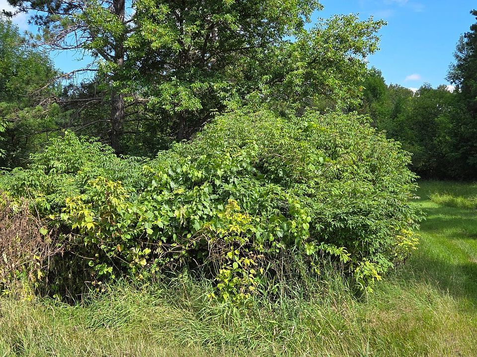 1st image of LOT 3 Town Rd #207
