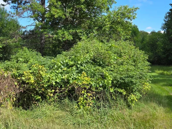 LOT 3 Town Rd #207, International Falls, MN 56649