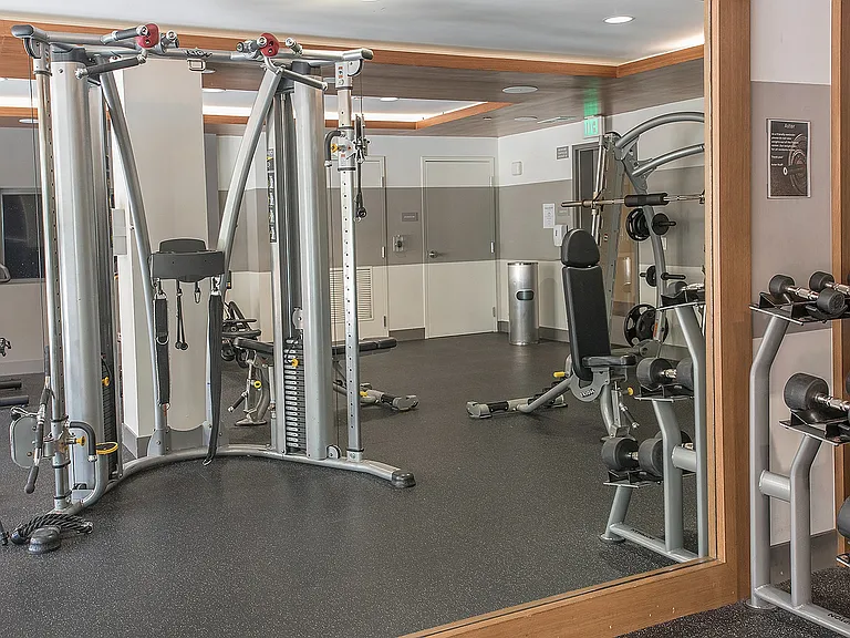 Bright, open gym with free weights and cable machines at Aster Apartments near BART.