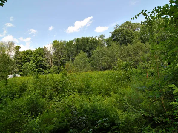 lot 15-1 East Deering Road, Deering, NH 03244