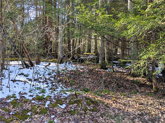 5th image of 160 Mill Run School Rd