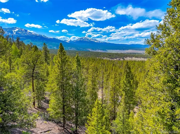 198 Mt Elbert Road LOT 115, Twin Lakes, CO 81251