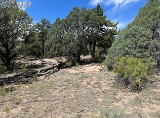 216 W View Rd, Cotopaxi, CO 81223