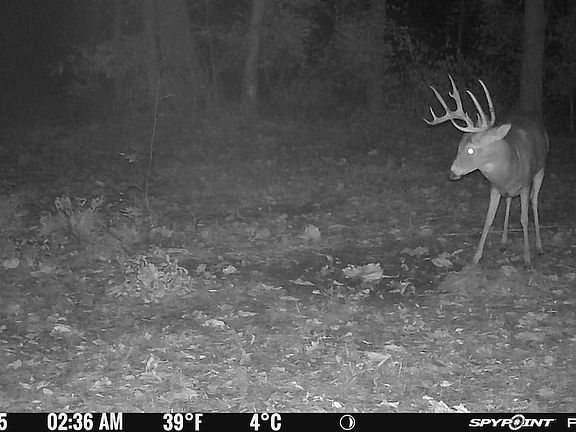 4th image of County Road Rd117