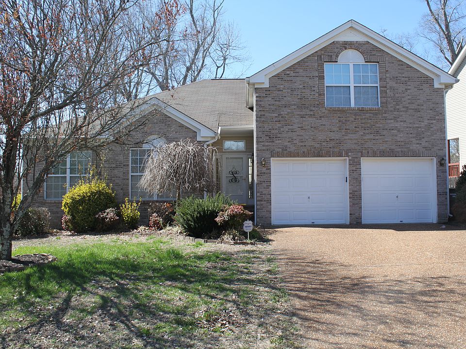 Nice Level Yard and Driveway