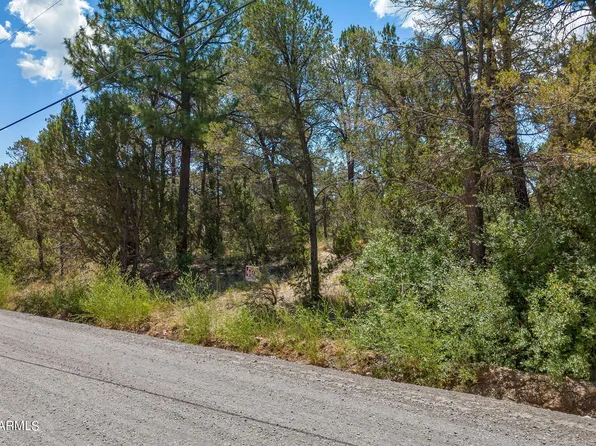 3127 RANCH Road #178, Overgaard, AZ 85933
