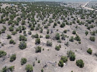 0 Omega Rd #24, Quemado, NM 87829