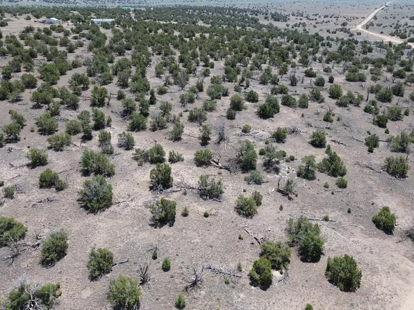0 Omega Rd #24, Quemado, NM 87829