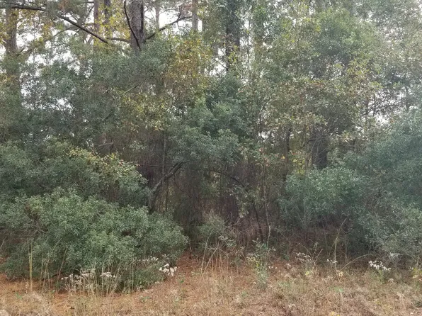 0 Rearden Ln, Walterboro, SC 29488