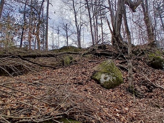 5th image of 795 Powers Rd