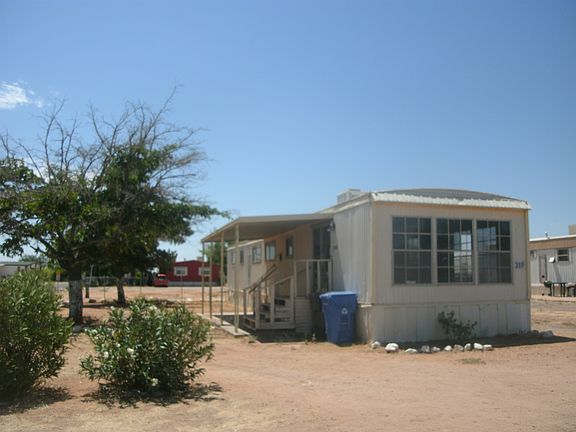 Shade Tree and lots of bushes
