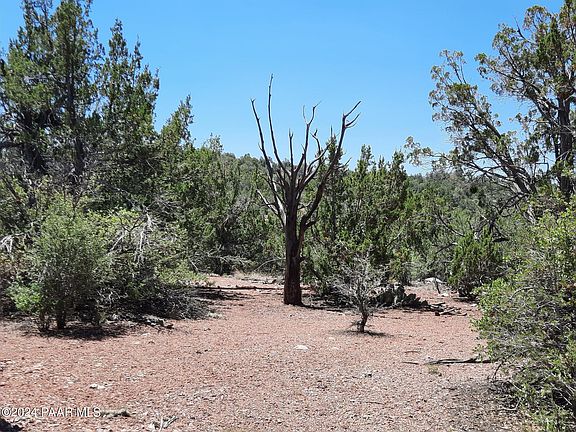 2nd image of LOT 219 Forest Ln