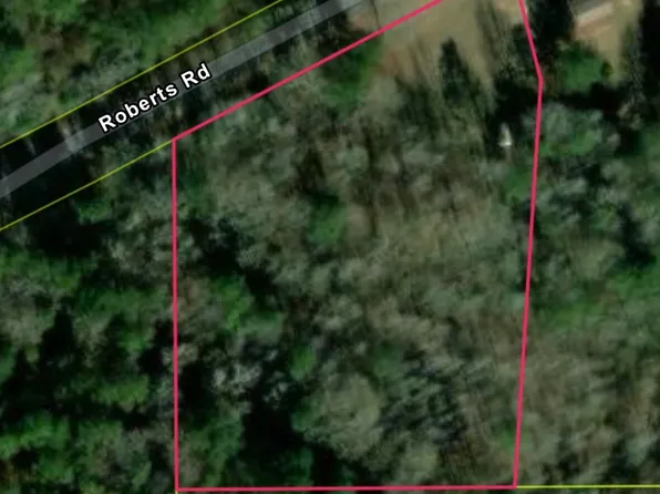 0 Roberts Rd, Carthage, MS 39051