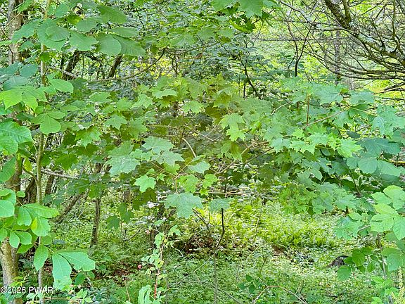 3rd image of Murphy Hill Rd