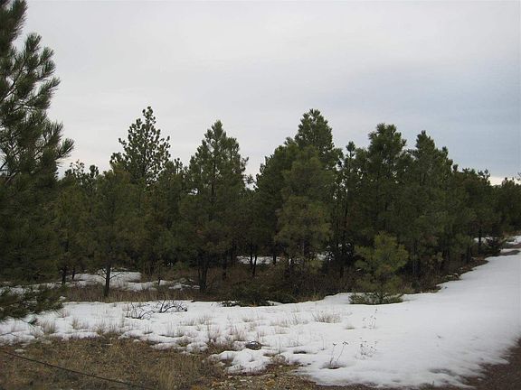 3rd image of 5144 Seabiscuit Dr