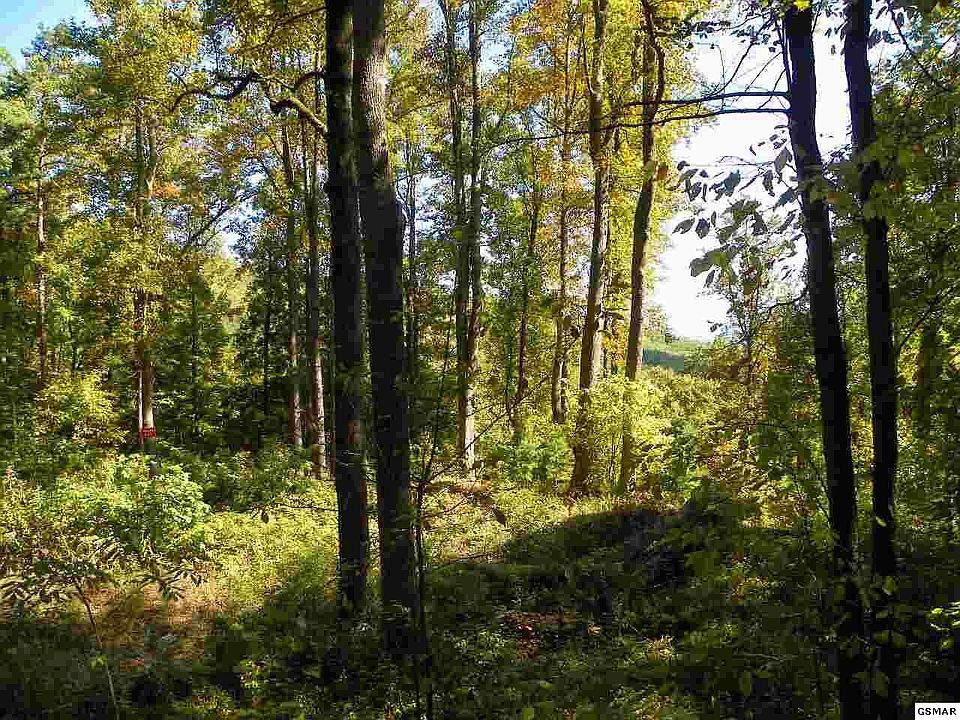 2nd image of 25402538 Bluff Mountain Rd Lot 7&8