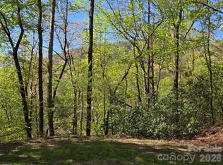64 & 65 Walnut Ln, Lake Lure, NC 28746