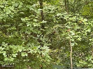 2nd image of 11163 Mingo Dr #328