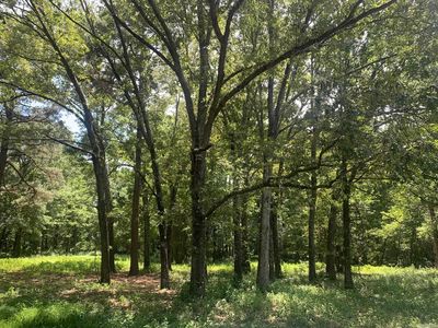 365 Skinner Rd, Austin, AR, 72007