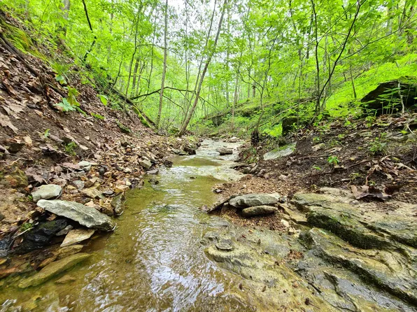 Lot 11 Buckskin Ridge, Highlandville, MO 65669