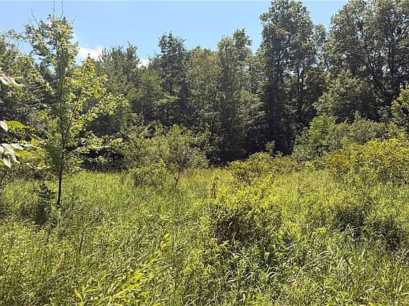 3rd image of 3359 Helsey Fusselman Rd