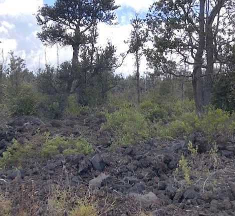 2nd image of Palm Pkwy Lot 29