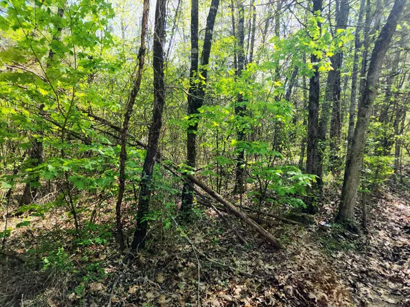 235,236 Doxie Lane, Shell Knob, MO 65747