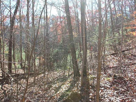 4th image of 29 Cool Water Ln Lot 29E
