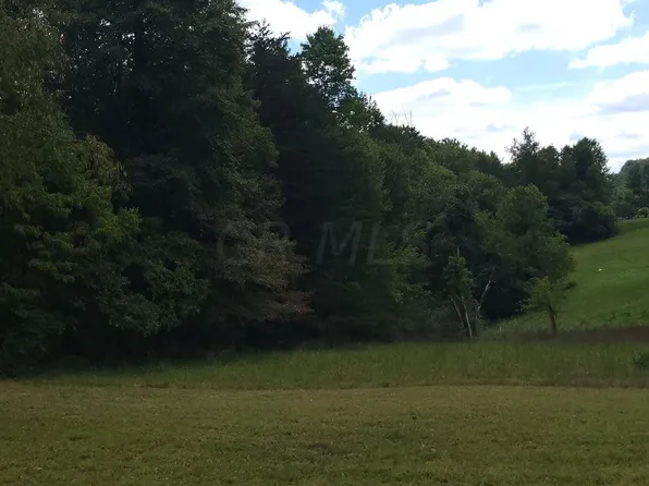 156 Electric Park Rd, Wellston, OH 45692