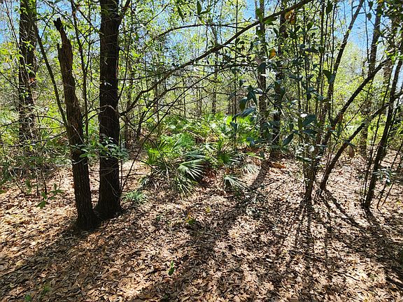 5th image of 0 Edgewood Rd