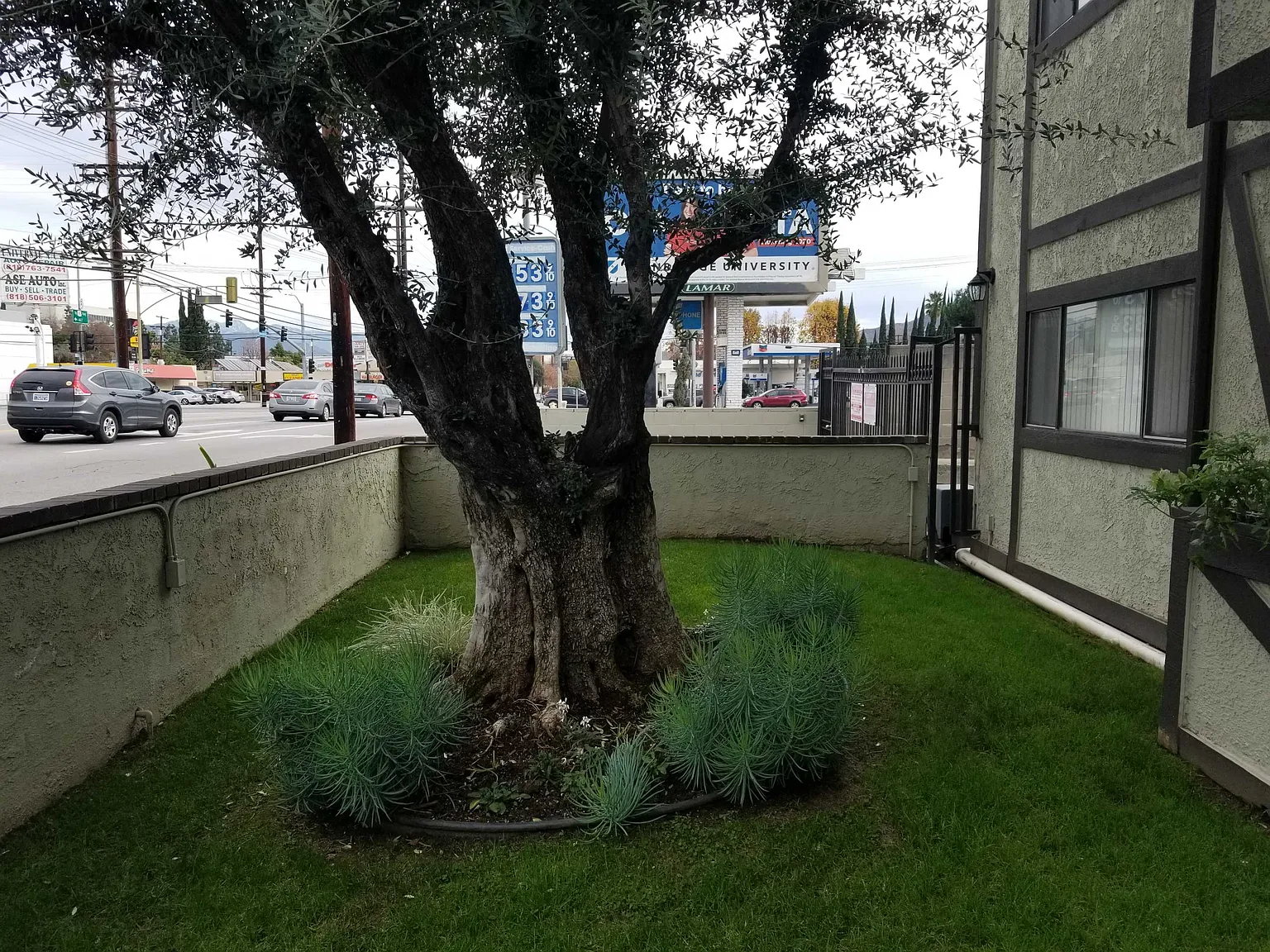 1 bed, $1,895 — Photo 3